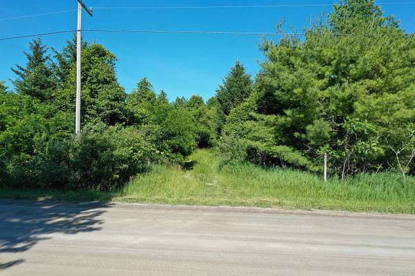 10 Acres of Recreational & Residential Land for Sale in Lexington, Michigan
