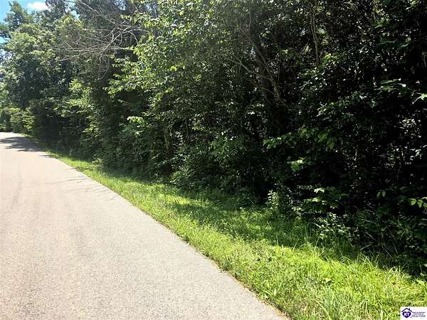 25 Acres of Land for Sale in Rineyville, Kentucky