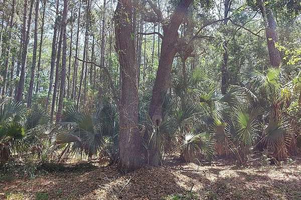 0.41 Acres of Residential Land for Sale in Kiawah Island, South Carolina