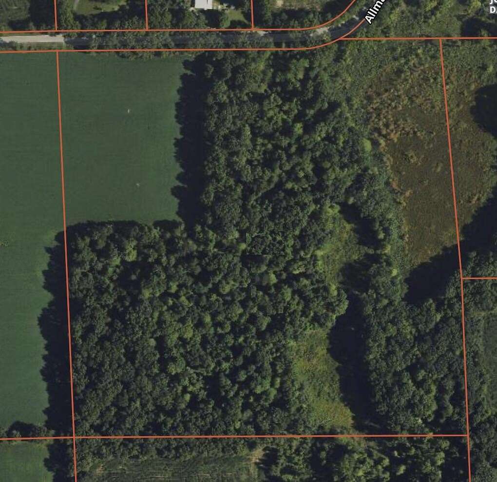 40 Acres of Land for Sale in Concord, Michigan