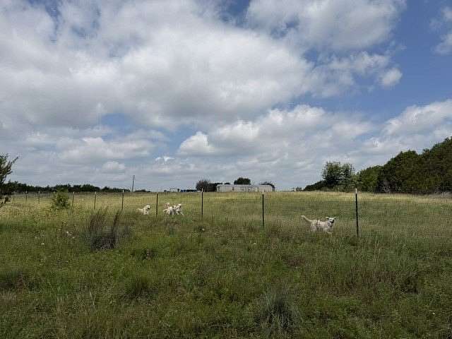 40 Acres of Land with Home for Sale in Hico, Texas