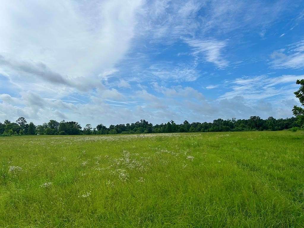 30.8 Acres of Agricultural & Residential Land for Sale in Donalsonville, Georgia