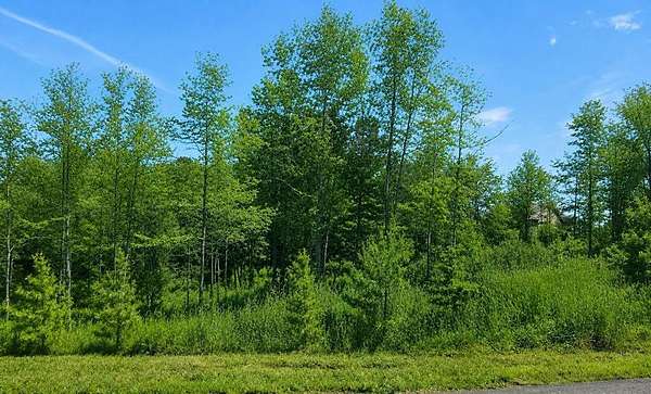 1.19 Acres of Land for Sale in Blairsville, Georgia