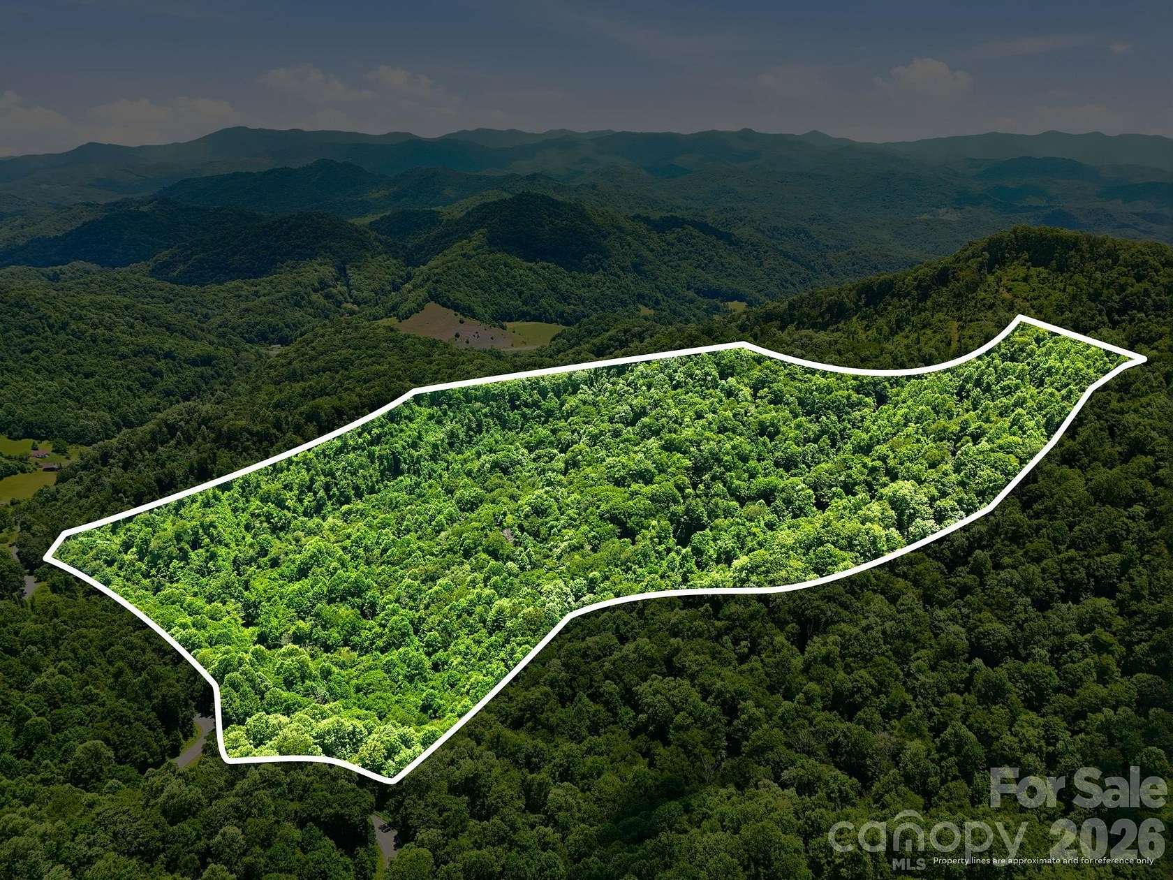 49.4 Acres of Recreational & Residential Land for Sale in Mars Hill, North Carolina