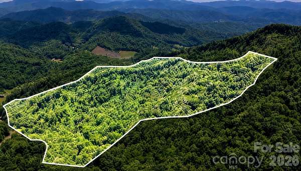 49.4 Acres of Recreational & Residential Land for Sale in Mars Hill, North Carolina