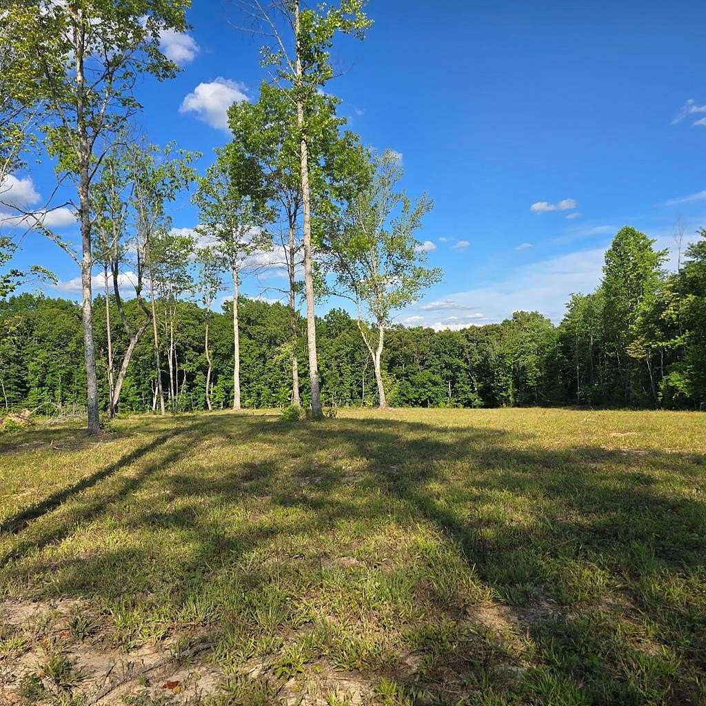 80 Acres of Land for Sale in Sunbright, Tennessee