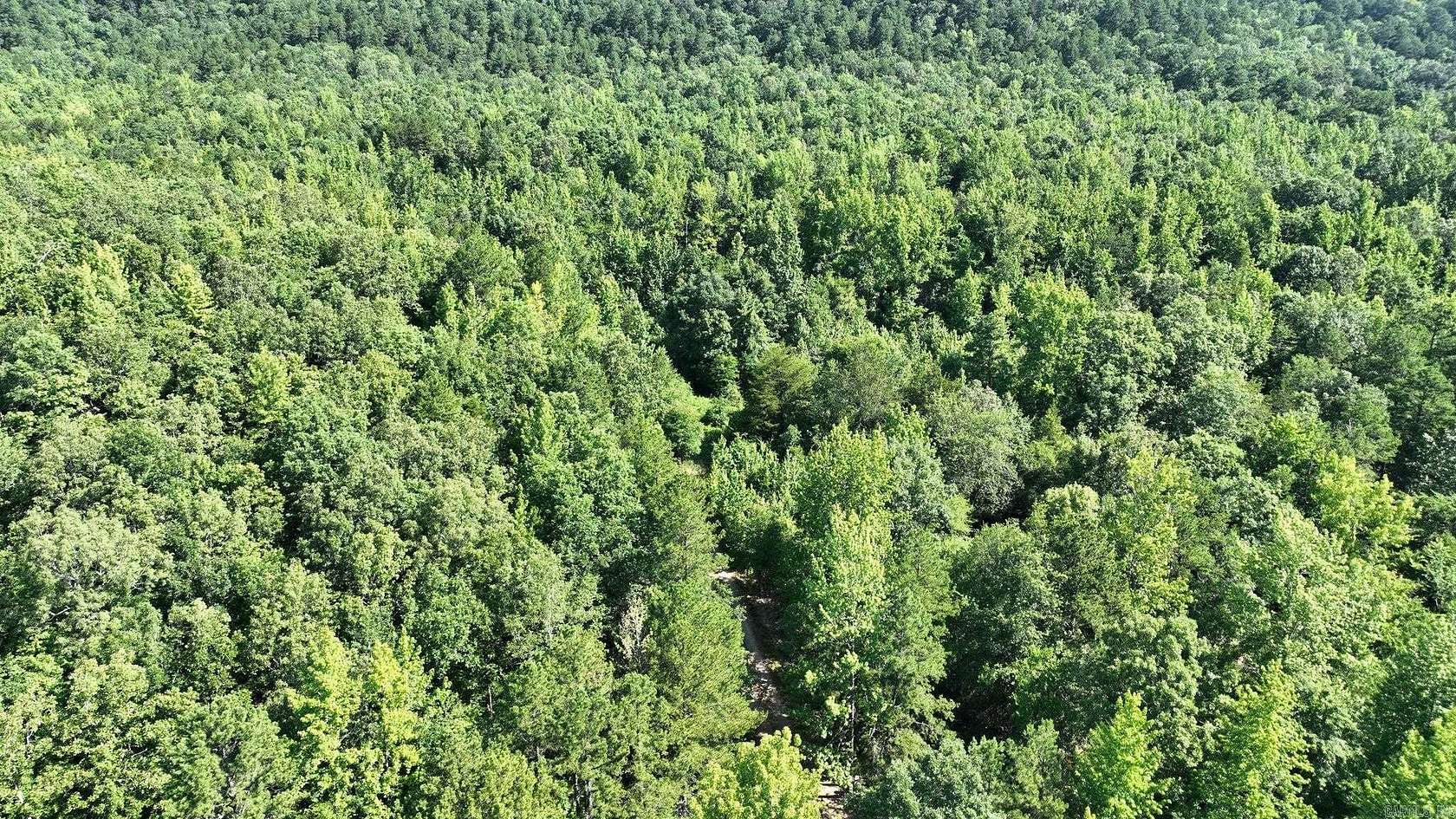 27 Acres of Recreational Land for Sale in Mena, Arkansas