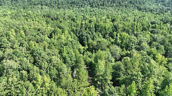 27 Acres of Recreational Land for Sale in Mena, Arkansas