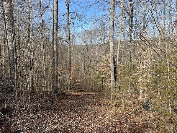 8 Acres of Residential Land for Sale in Wilder, Tennessee