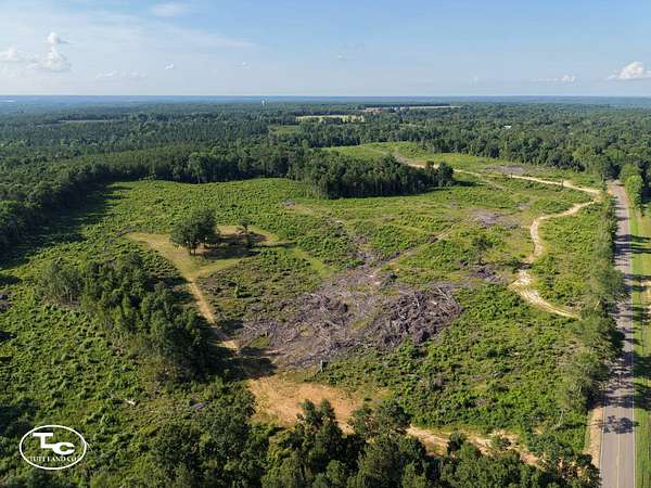 75 Acres of Land for Sale in Camden, Alabama