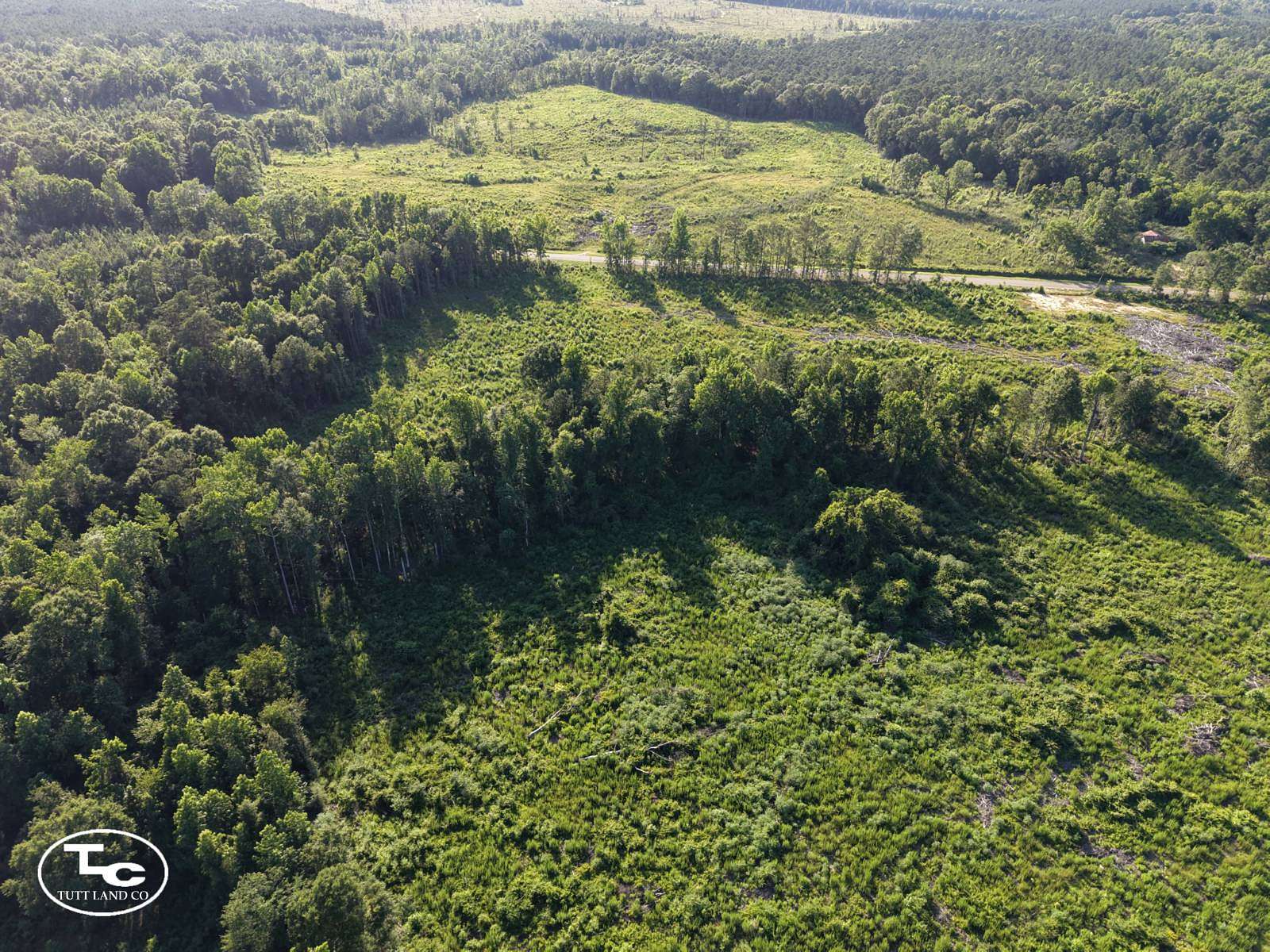 29 Acres of Agricultural & Residential Land for Sale in Camden, Alabama