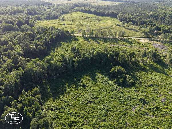 29 Acres of Agricultural & Residential Land for Sale in Camden, Alabama