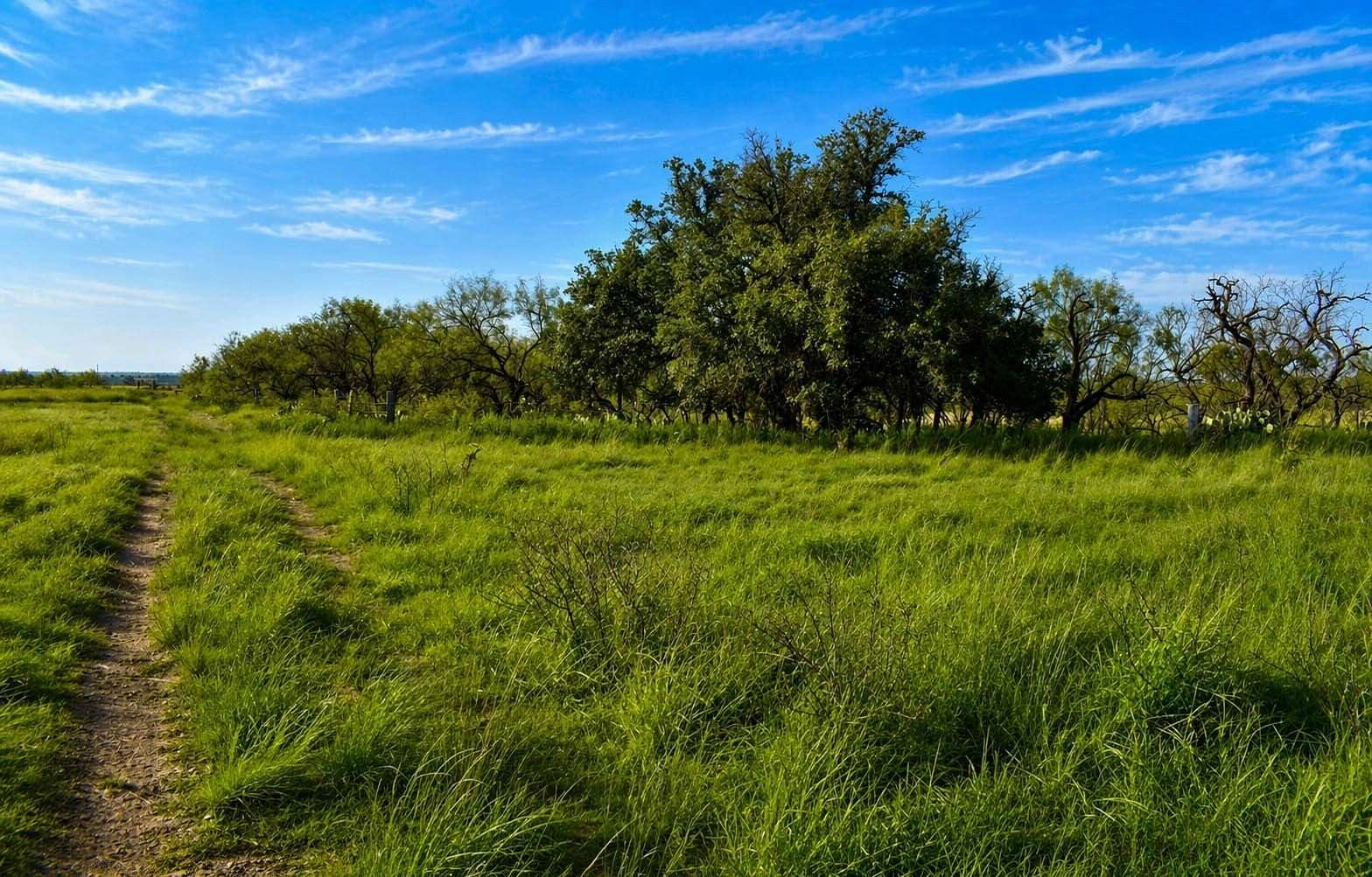 20 Acres of Land for Sale in Brady, Texas