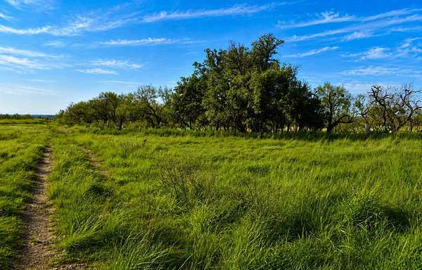 20 Acres of Land for Sale in Brady, Texas