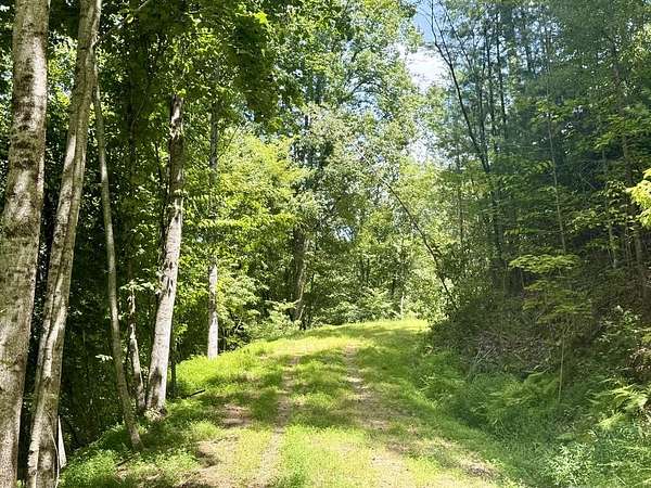 3.15 Acres of Land for Sale in Brasstown, North Carolina