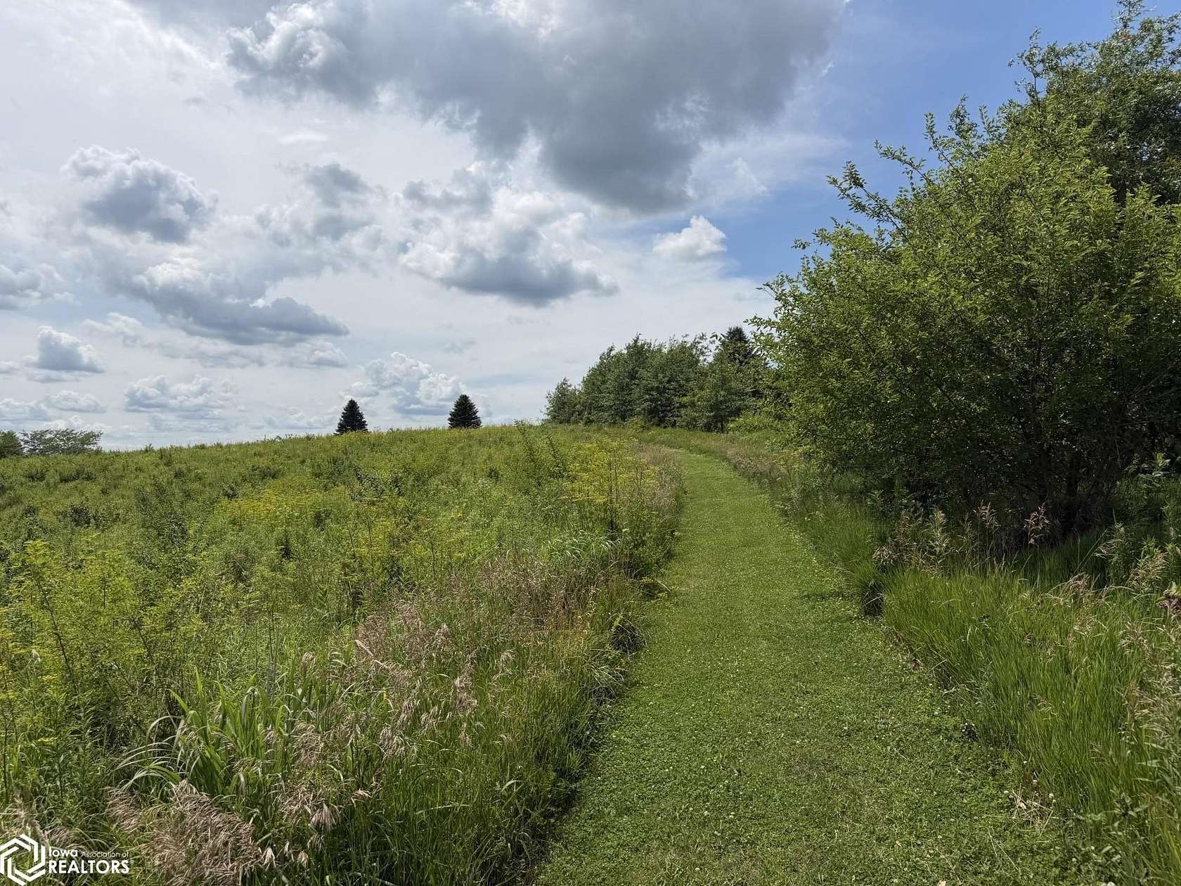 29.9 Acres of Recreational Land for Sale in Toledo, Iowa