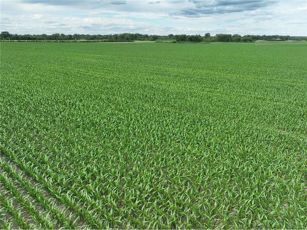 113 Acres of Agricultural Land for Auction in Milan, Minnesota