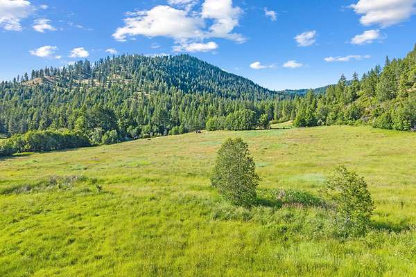 76.8 Acres of Recreational & Residential Land for Sale in Rice, Washington