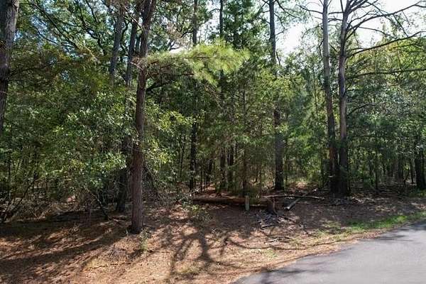 0.23 Acres of Residential Land for Sale in Mount Vernon, Texas