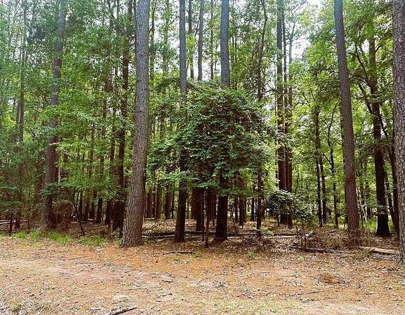 0.4 Acres of Residential Land for Sale in Mount Vernon, Texas