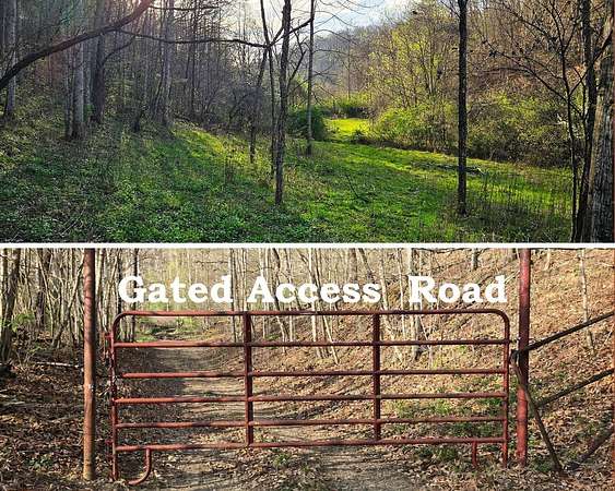 113 Acres of Recreational Land for Sale in Alderson, West Virginia