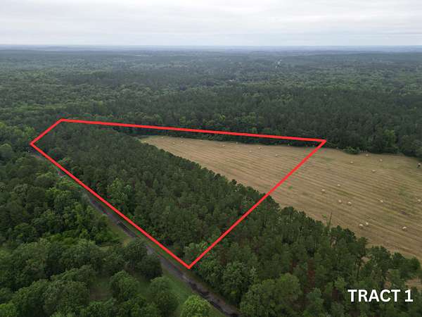10 Acres of Land for Sale in Bivins, Texas