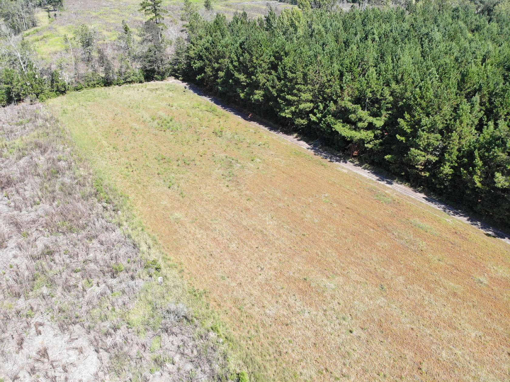 107 Acres of Land for Sale in Bamberg, South Carolina