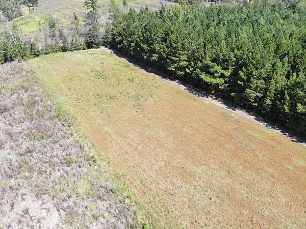 107 Acres of Land for Sale in Bamberg, South Carolina