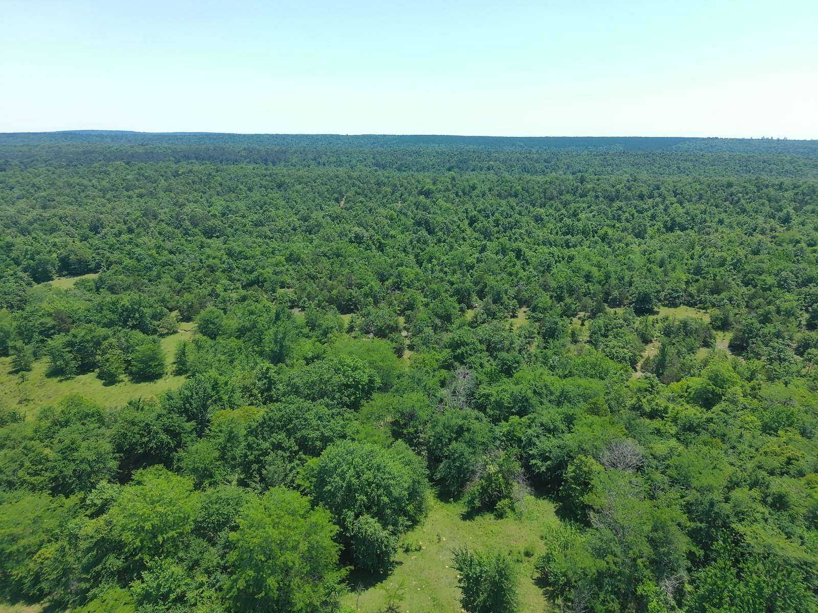 40 Acres of Land for Sale in Rattan, Oklahoma