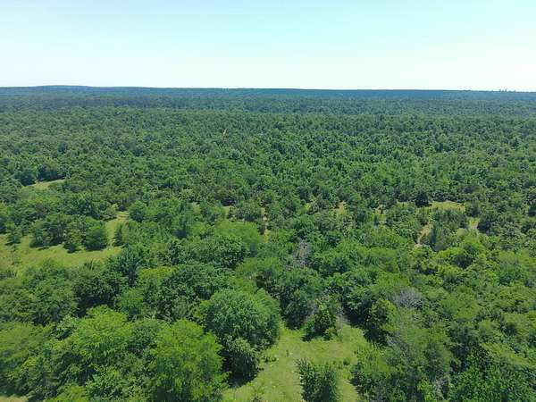 40 Acres of Land for Sale in Rattan, Oklahoma