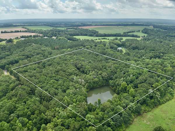 22 Acres of Land for Sale in Daleville, Alabama