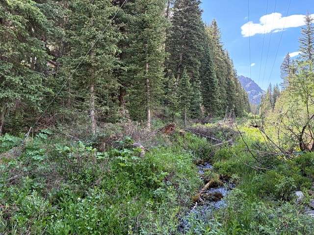 10.3 Acres of Land for Sale in Ouray, Colorado