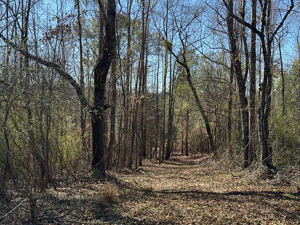 79 Acres of Land for Sale in Moundville, Alabama