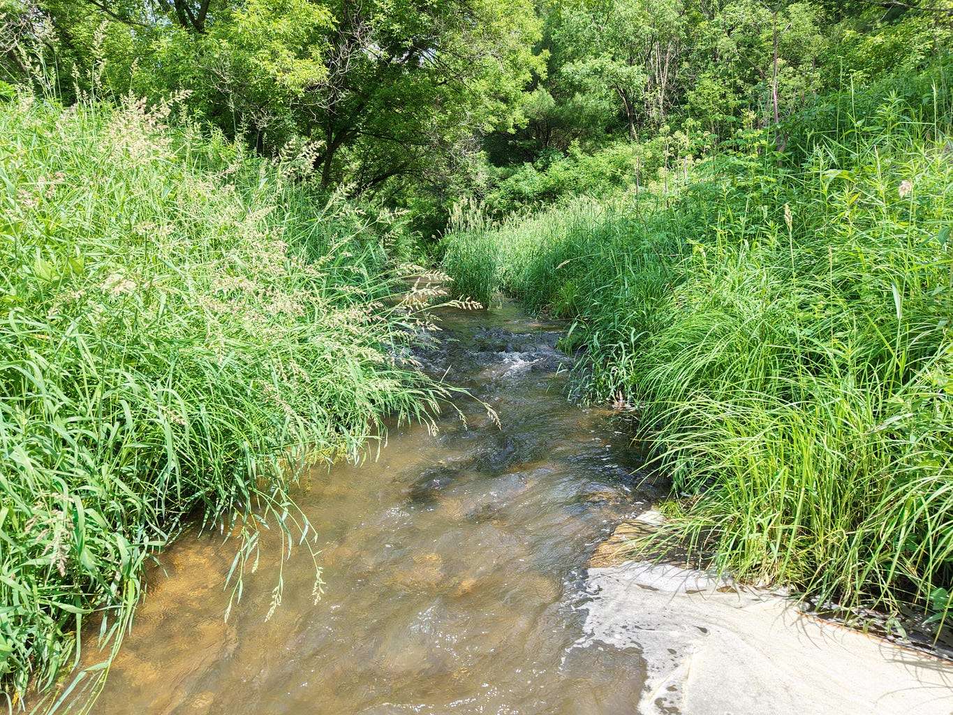 9.44 Acres of Agricultural Land for Sale in La Farge, Wisconsin