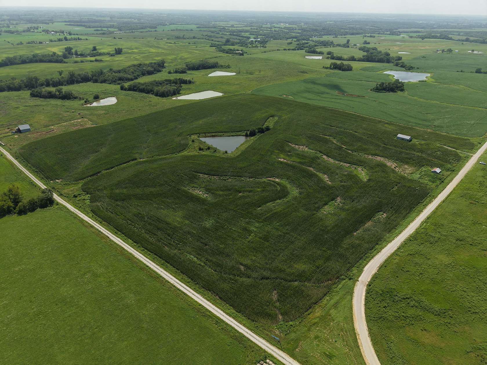 38 Acres of Agricultural & Residential Land for Auction in Albany, Missouri
