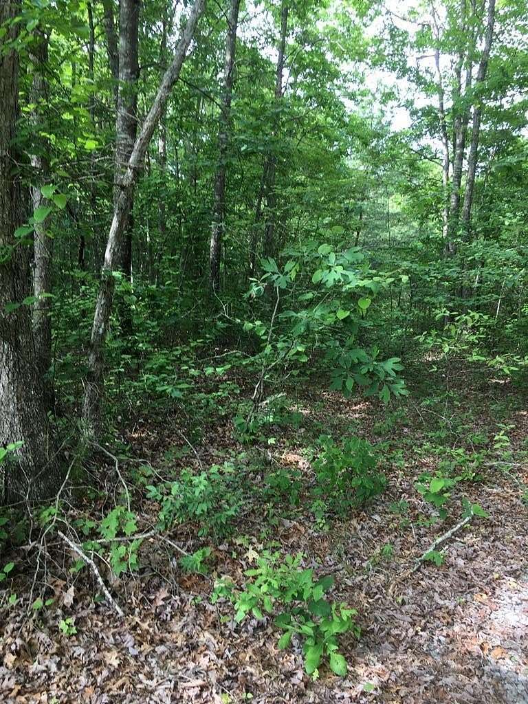 5.59 Acres of Residential Land for Sale in Wilder, Tennessee
