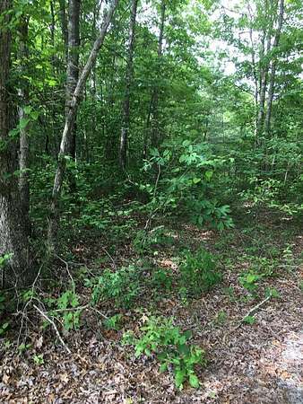 5.59 Acres of Residential Land for Sale in Wilder, Tennessee