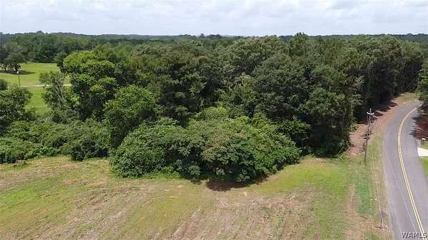 7.38 Acres of Residential Land for Sale in Ralph, Alabama