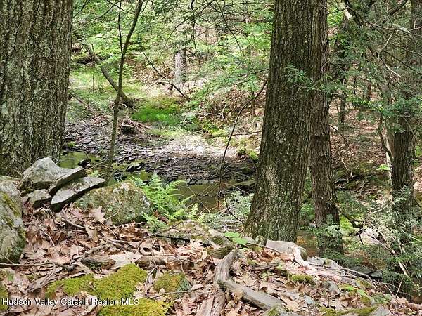 32.2 Acres of Land for Sale in Cairo, New York