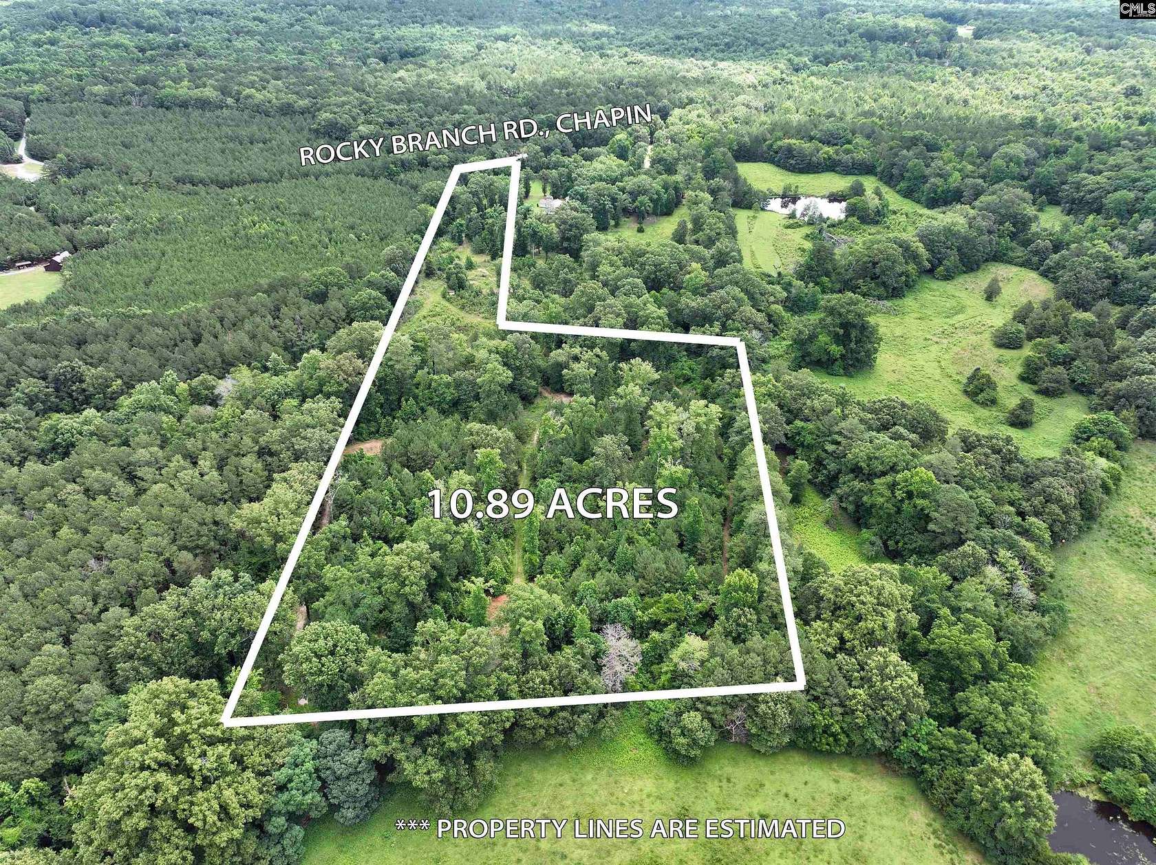 10.9 Acres of Land for Sale in Chapin, South Carolina