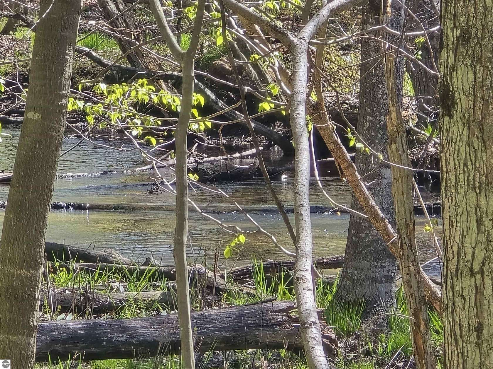 2 Acres of Land for Sale in Evart, Michigan