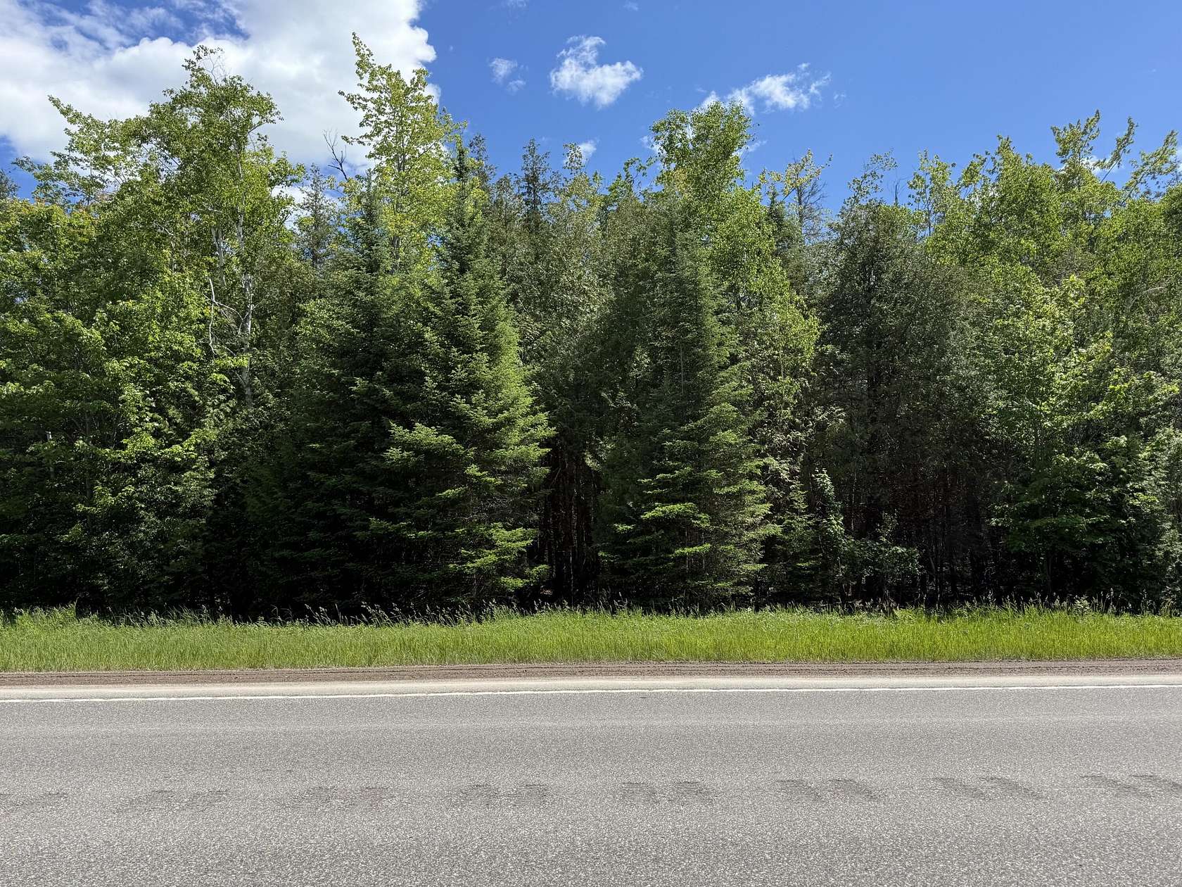10 Acres of Land for Sale in Cheboygan, Michigan