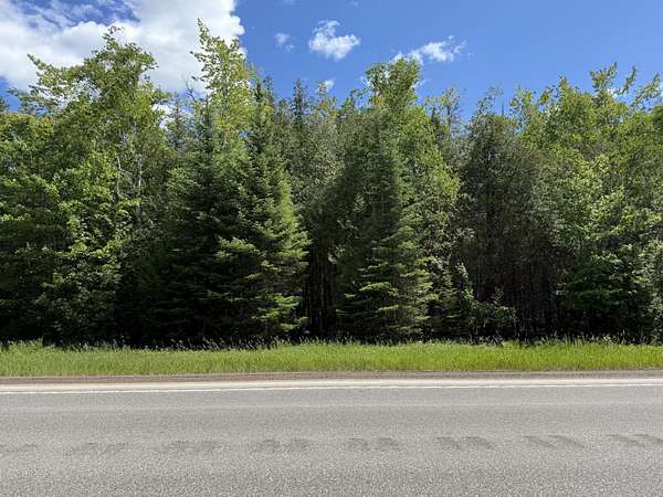 10 Acres of Land for Sale in Cheboygan, Michigan