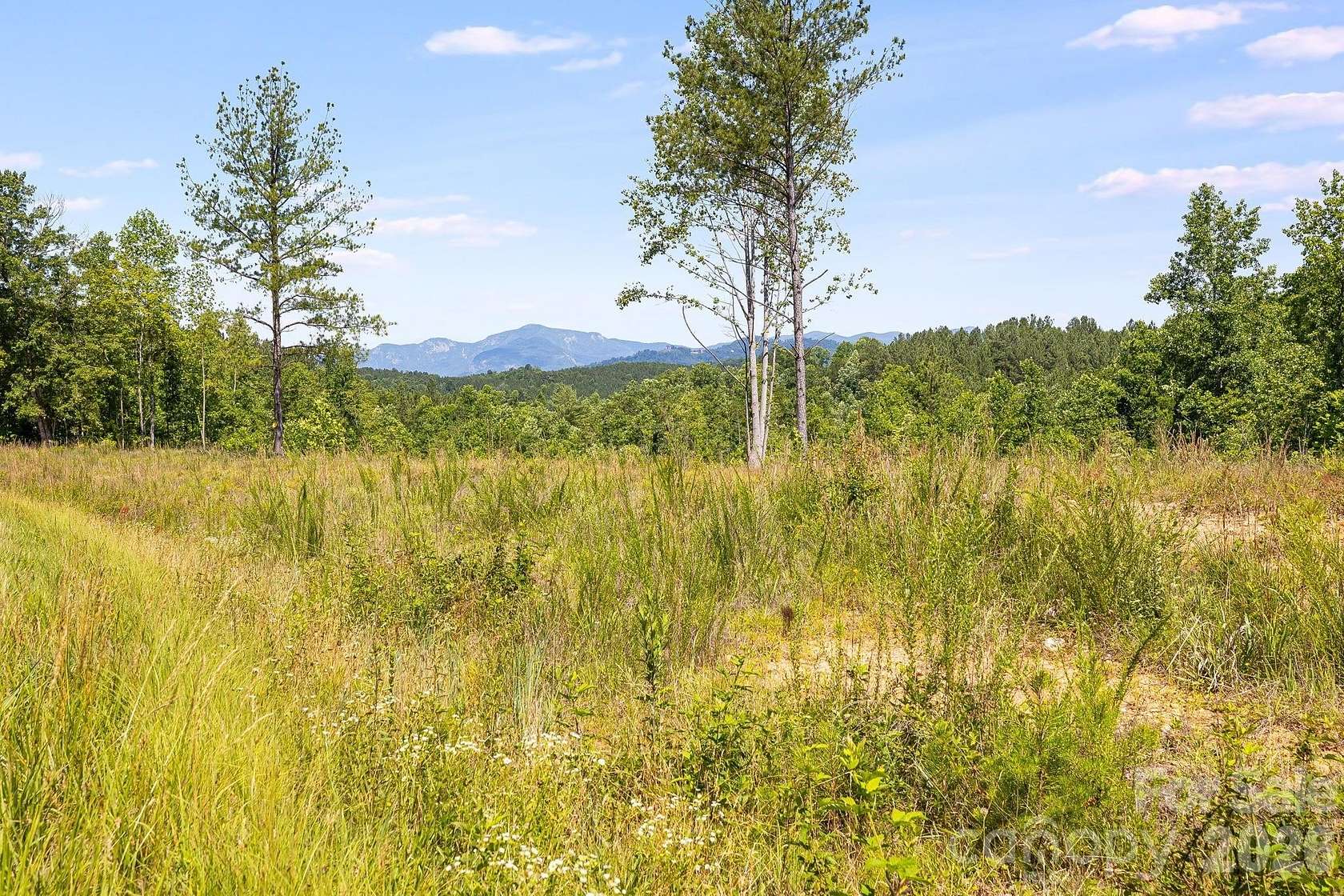 2 Acres of Residential Land for Sale in Rutherfordton, North Carolina