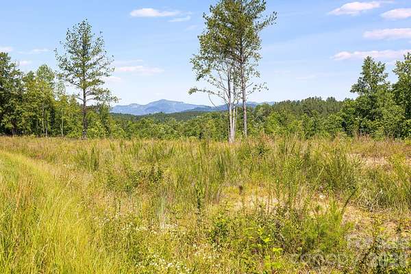 2 Acres of Residential Land for Sale in Rutherfordton, North Carolina