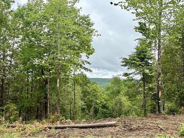 1.14 Acres of Residential Land for Sale in Lee, Maine