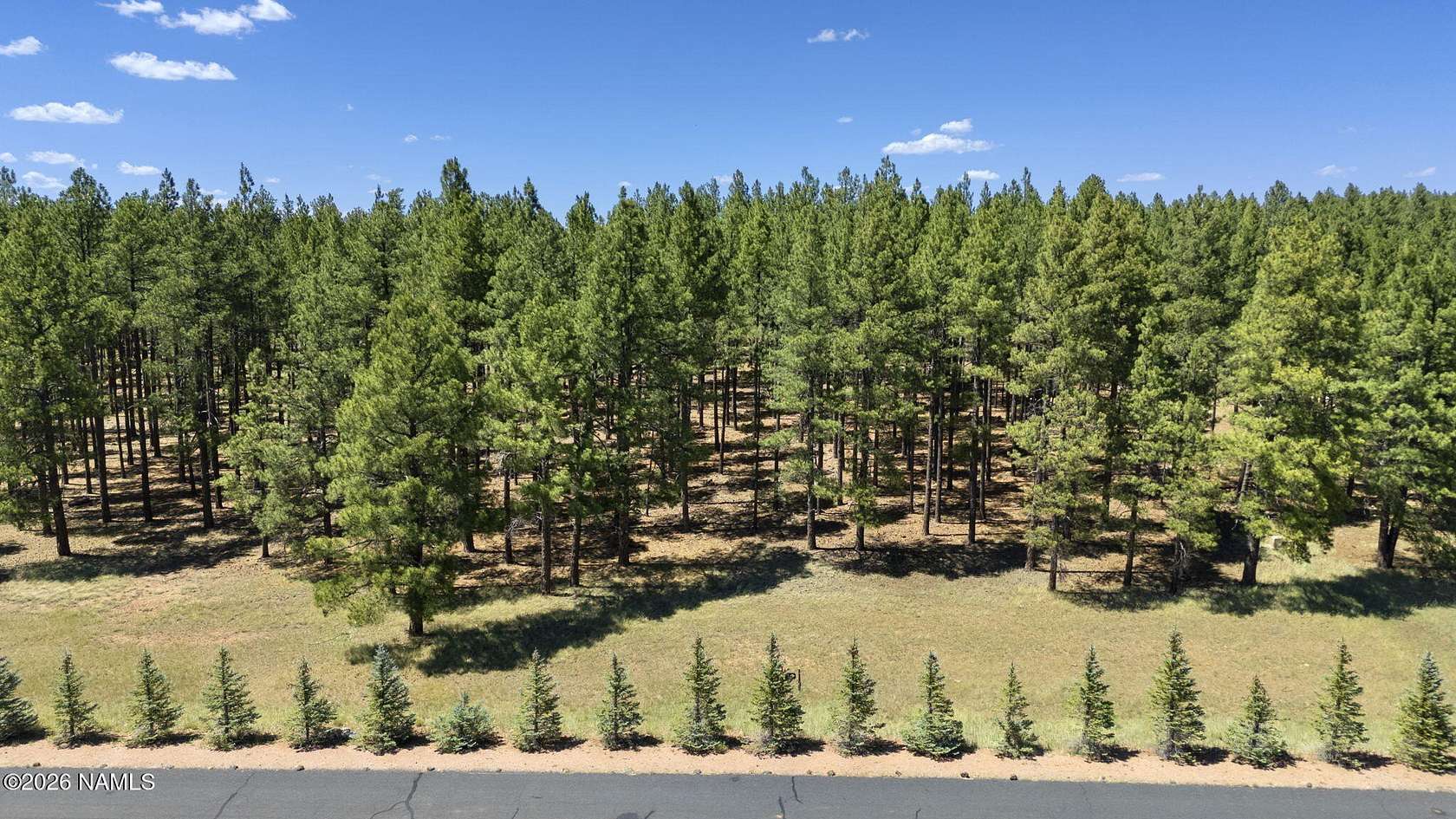 1.6 Acres of Residential Land for Sale in Munds Park, Arizona