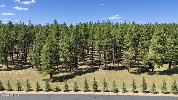 1.6 Acres of Residential Land for Sale in Munds Park, Arizona