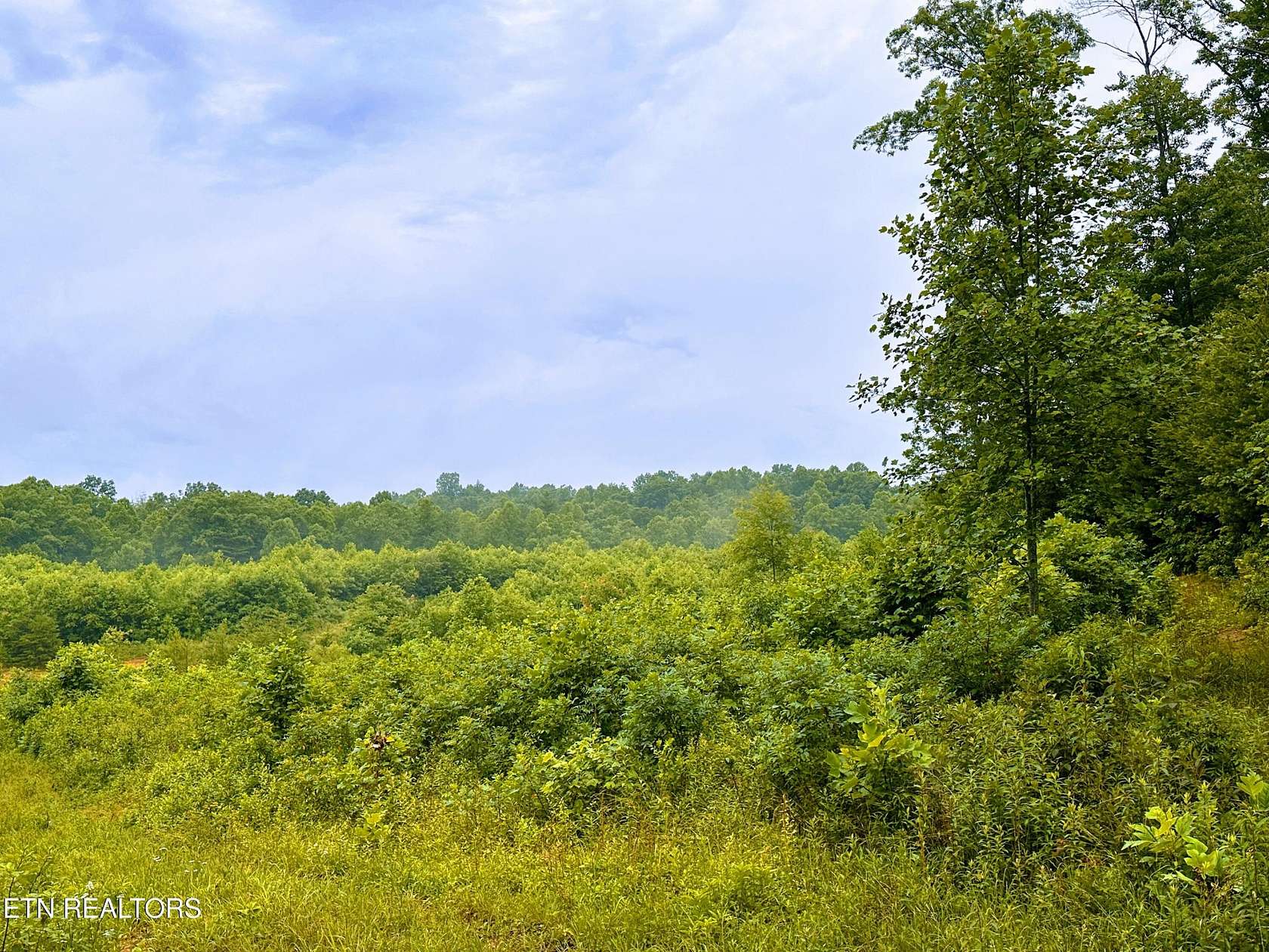 13.4 Acres of Agricultural Land for Sale in Allardt, Tennessee