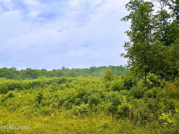 13.4 Acres of Agricultural Land for Sale in Allardt, Tennessee